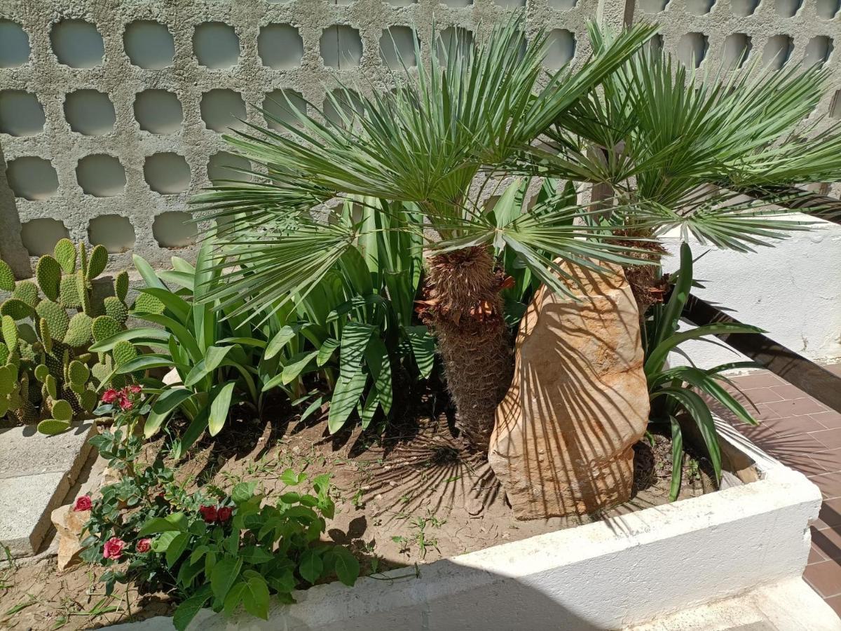 Mony'S Island B&B Alguer Exterior foto